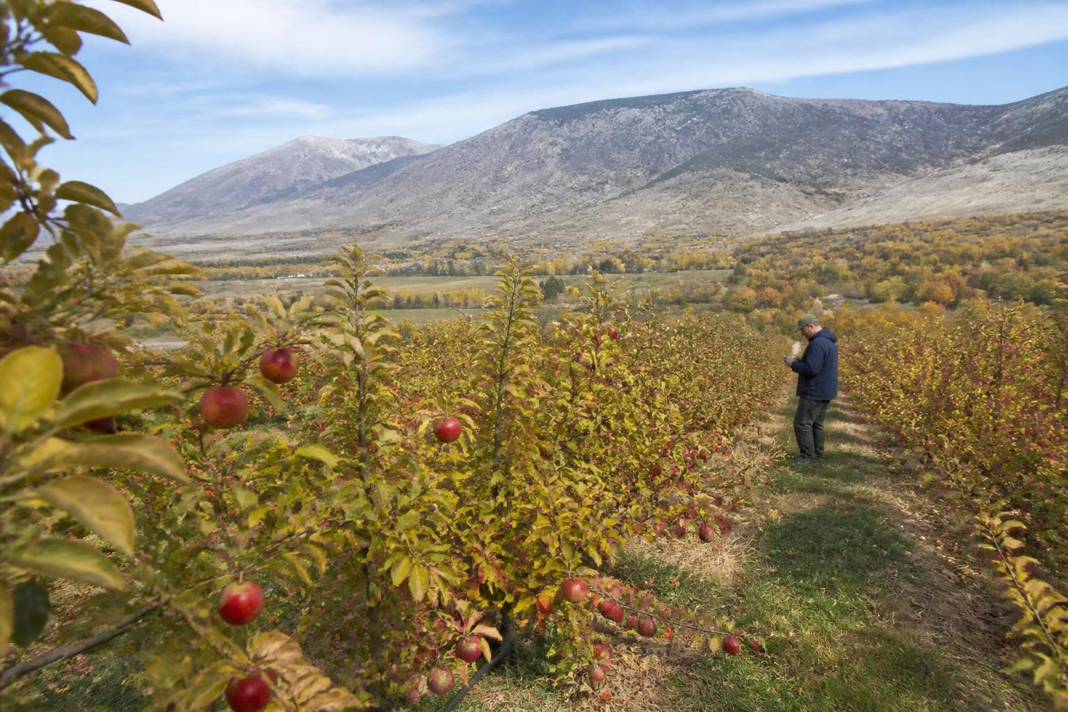 Navigating Structural Shifts in Utah Ag and Livestock Markets - AgroPost