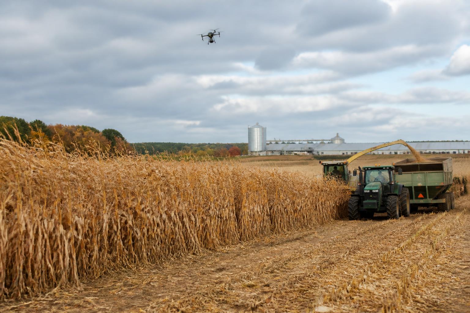 Michigan Fall Logistics: Navigating Seasonal Freight Pressures - AgroPost