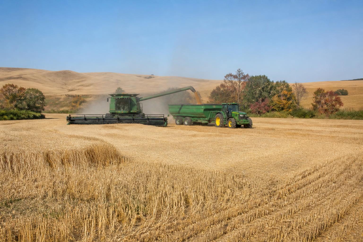 California Grains and Inputs: Navigating Fall Fertilizer and Market Pressures - AgroPost