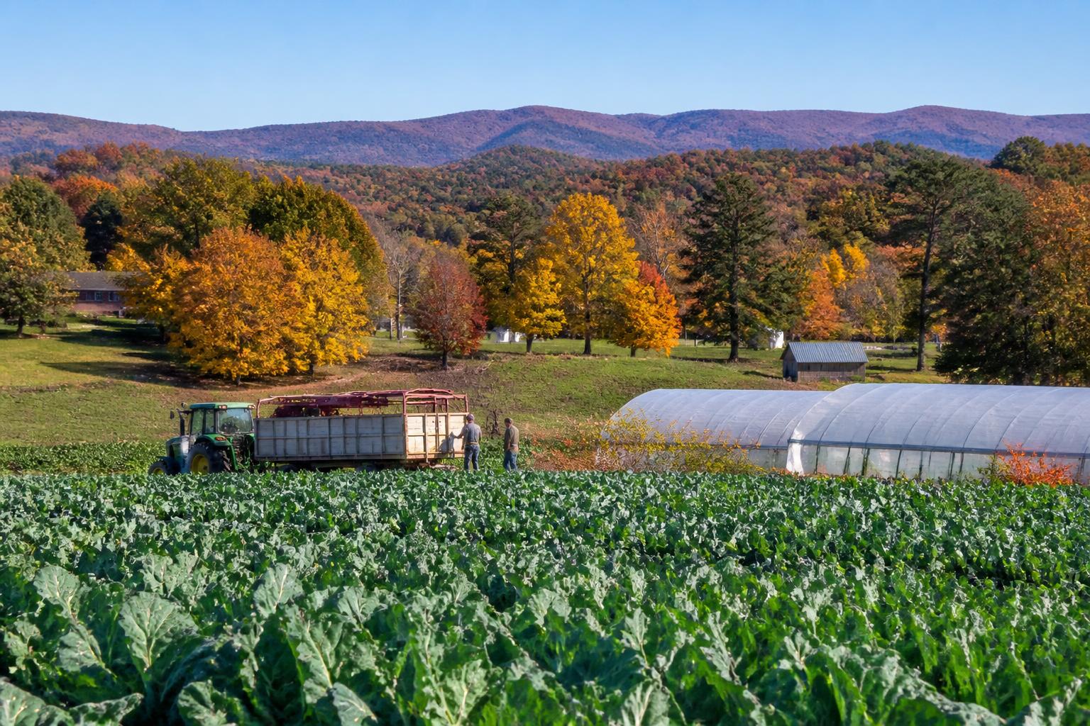 Virginia Fertilizer Market Update: Balancing Efficiency and Rising Input Hurdles - AgroPost