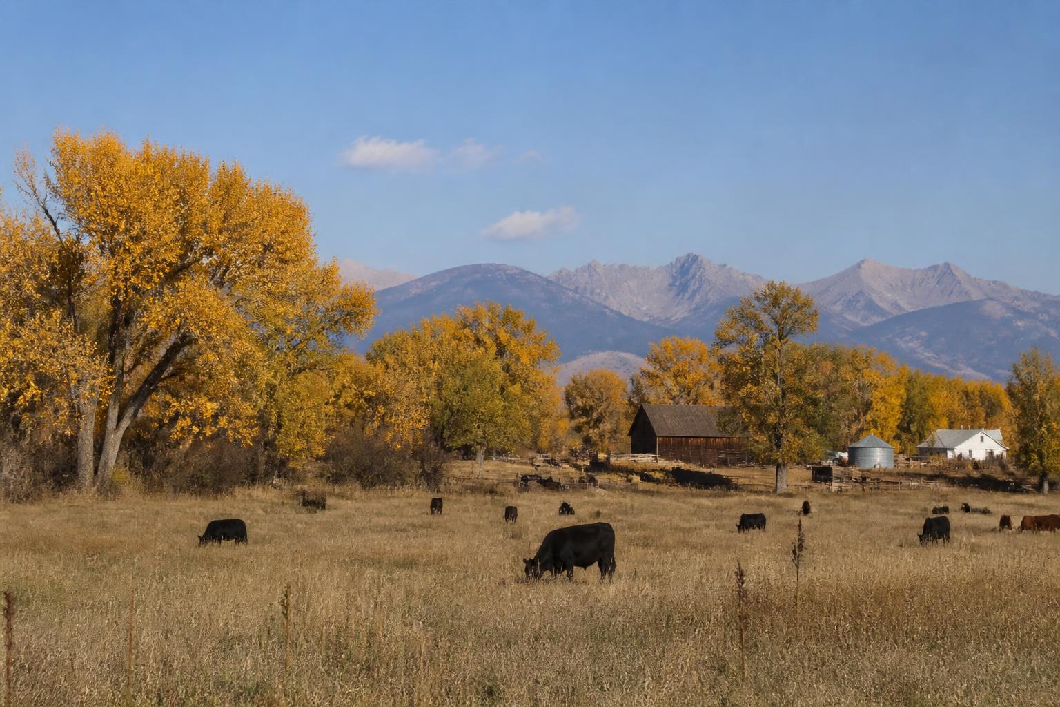 Wyoming Producers Navigate Shifting Regulatory and Operational Landscapes - AgroPost