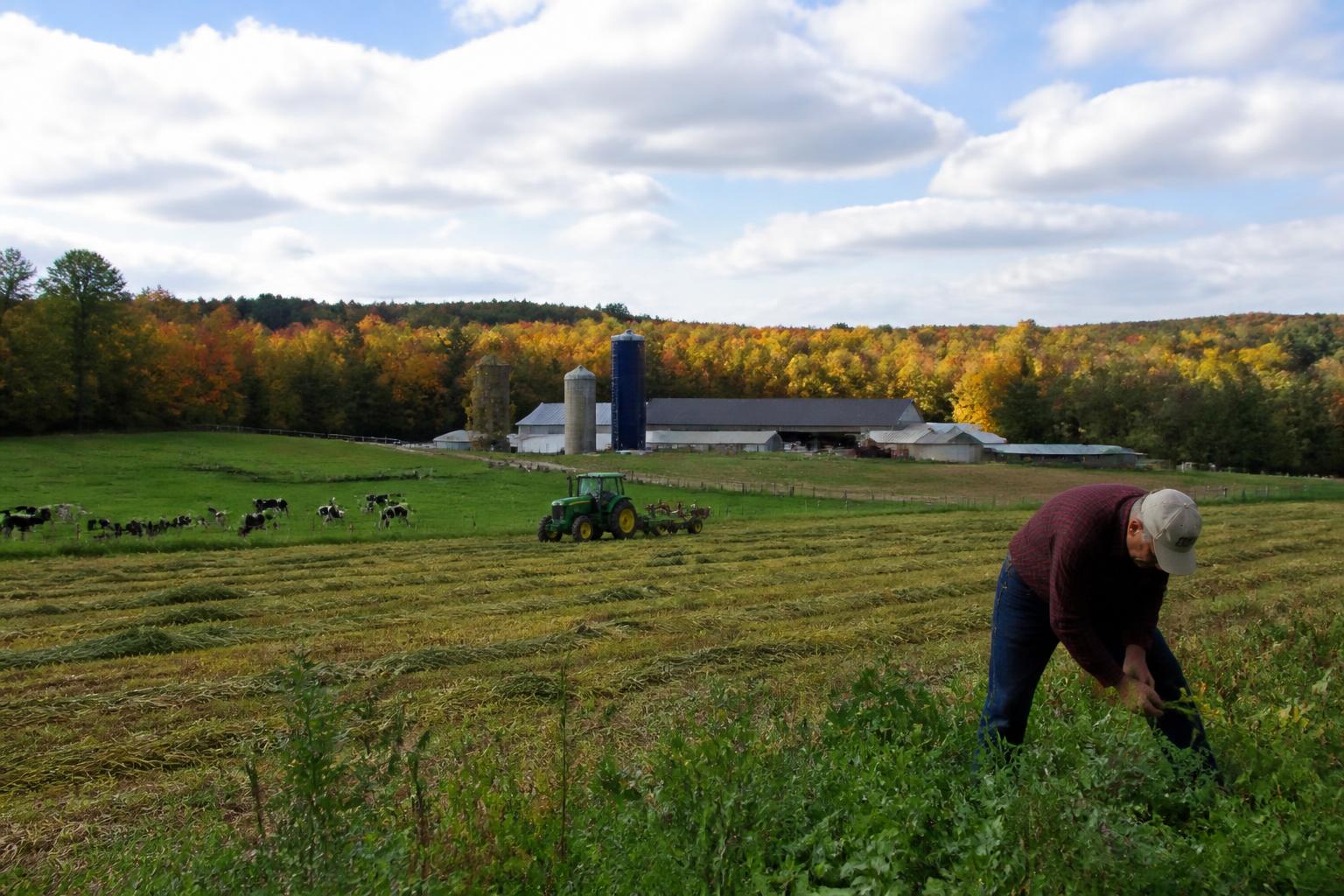 Vermont Grain Markets: Balancing Seasonal Demand and Infrastructure Investment - AgroPost