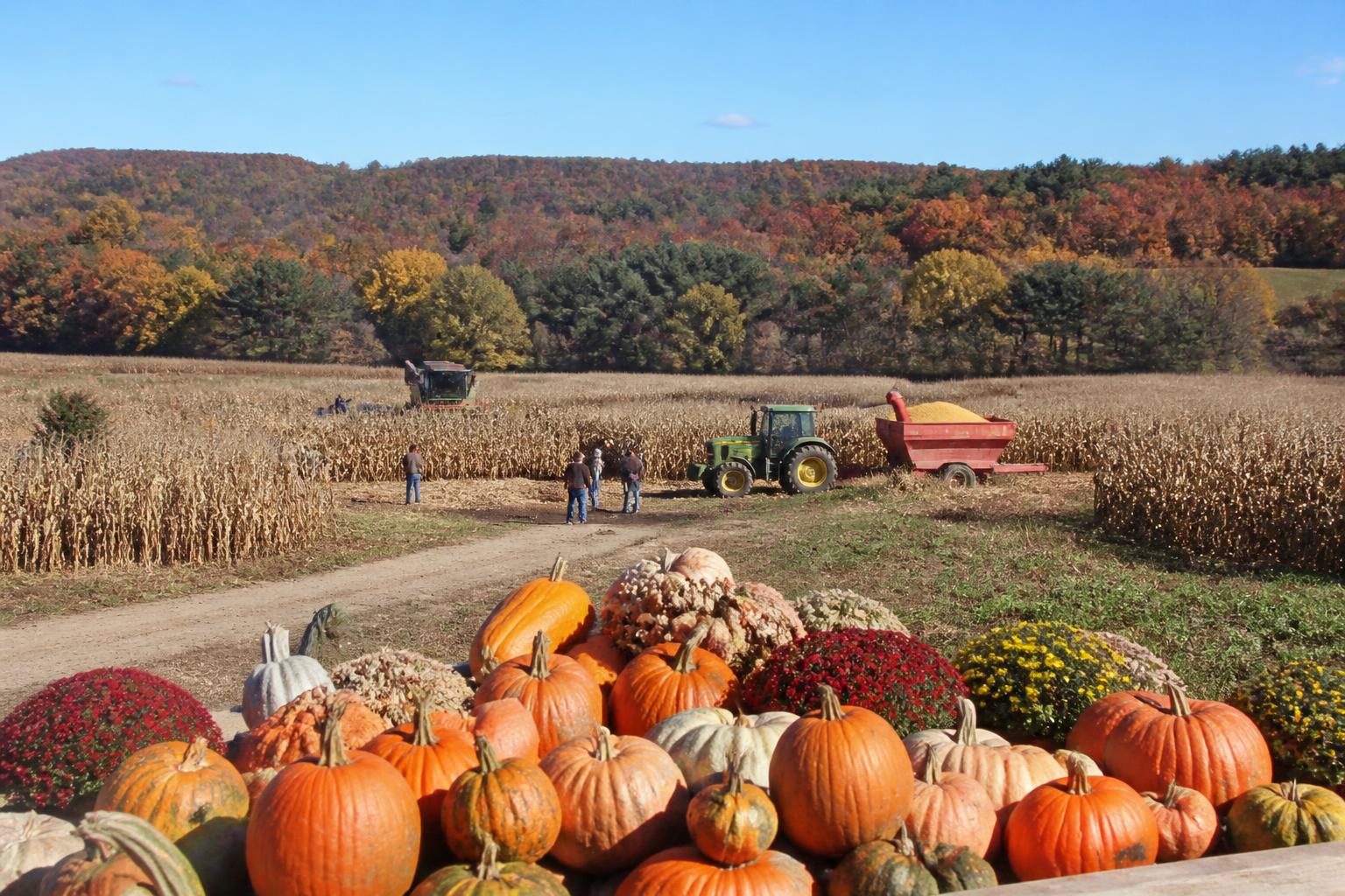 Rhode Island Grain Outlook: Navigating Input Costs and Market Pressures This Fall - AgroPost
