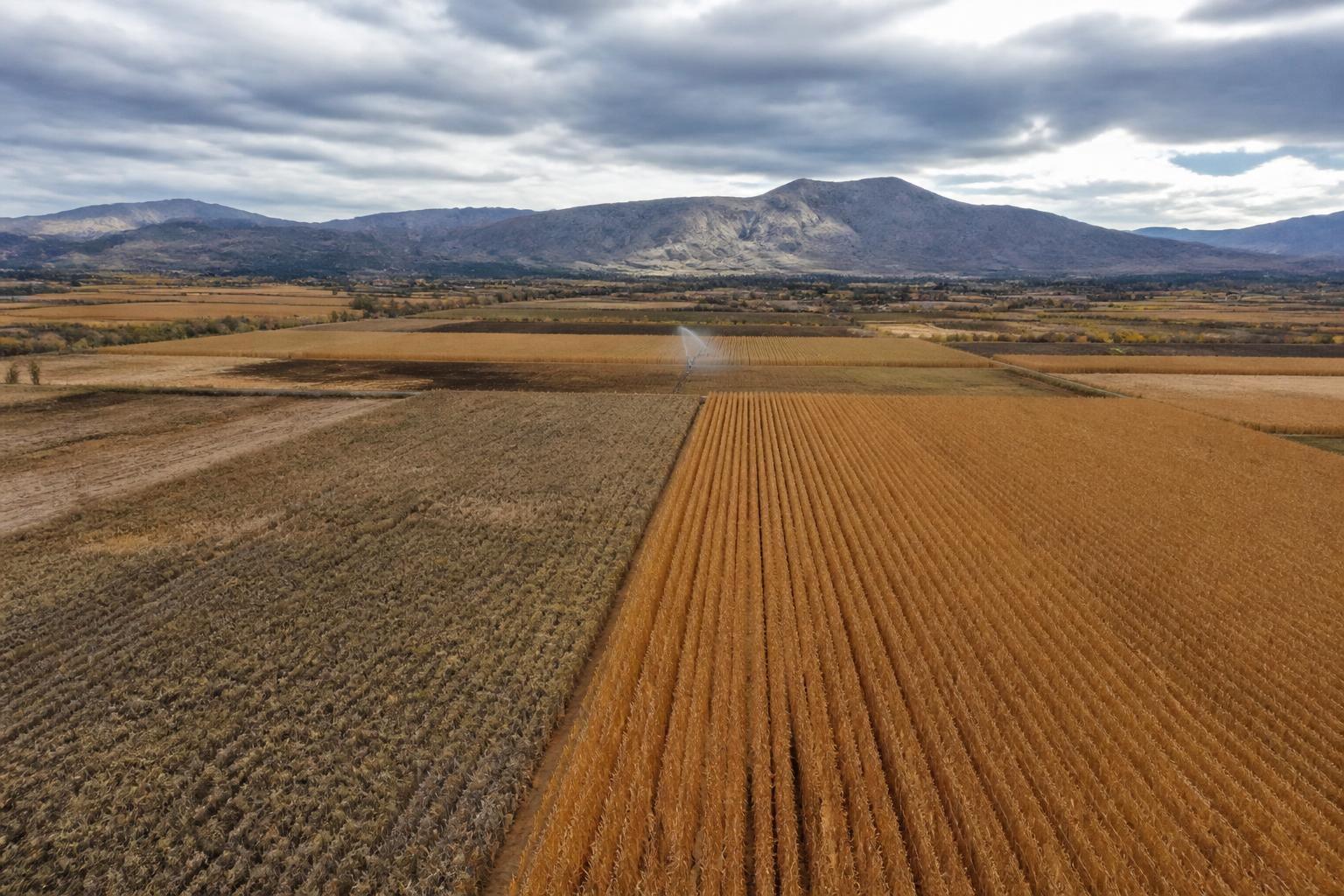 Colorado Input Markets: Navigating Fertilizer Costs as Harvest Intensifies - AgroPost