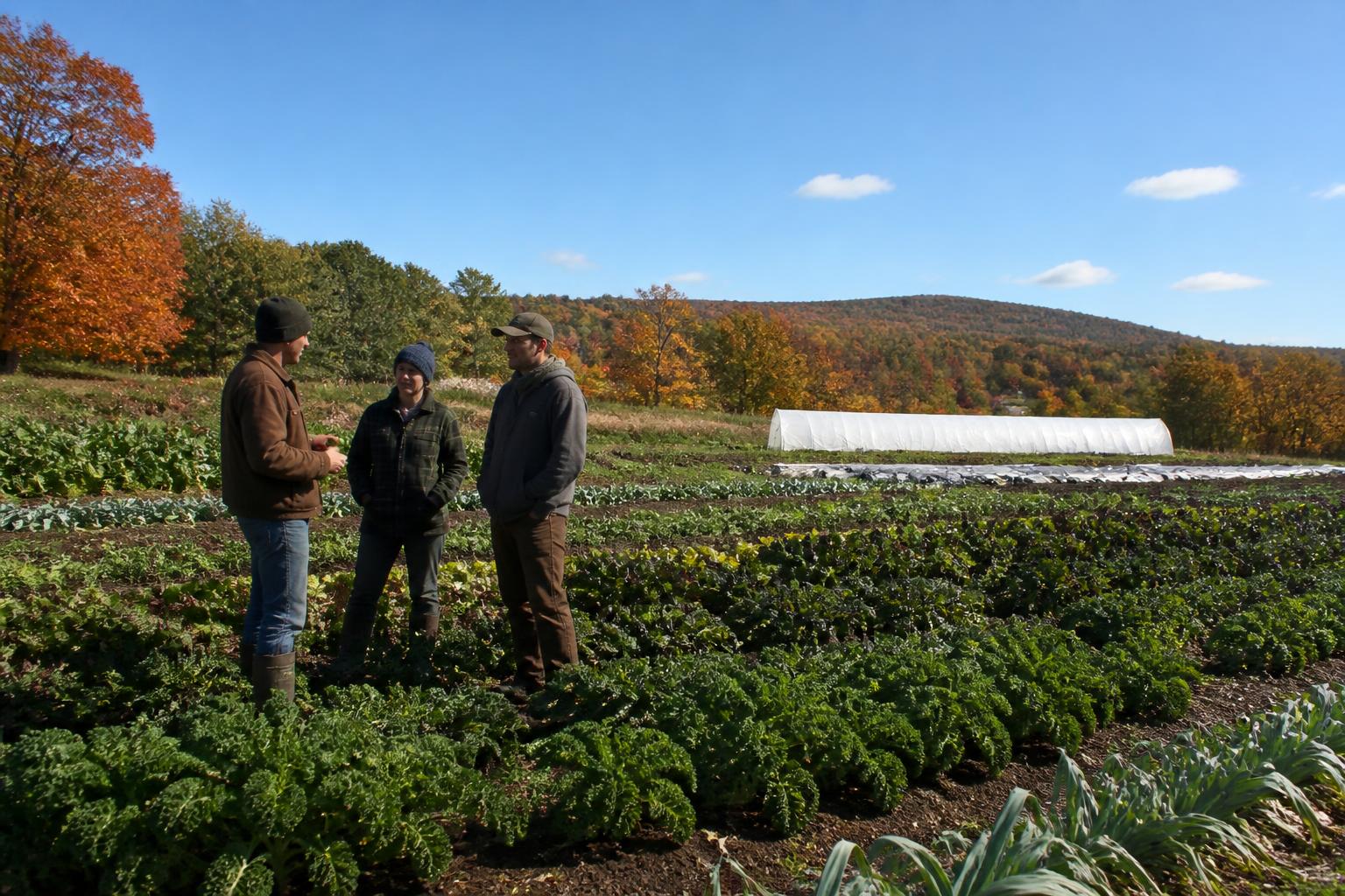 Navigating Regulatory and Environmental Hurdles in Maine Agriculture - AgroPost