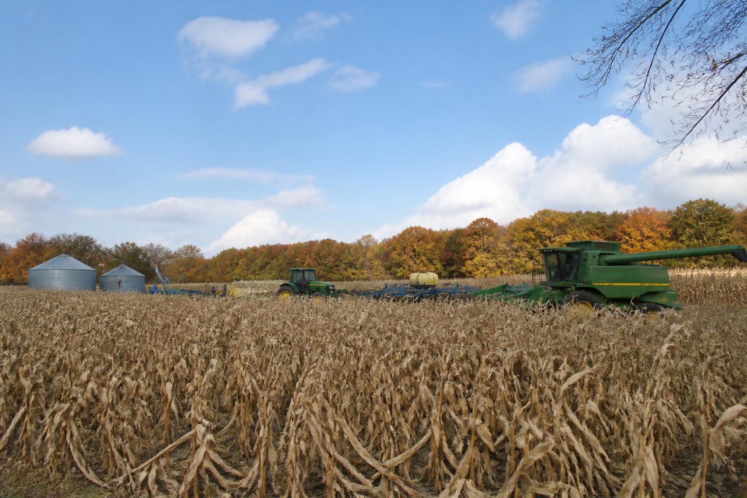 Connecticut Grain Market Update: Monitoring Price Adjustments Amidst Fall Trends - AgroPost