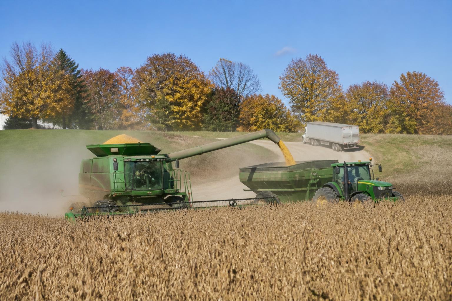 Wisconsin Grain Logistics: BNSF Expansion Signals Shift for Regional Elevators