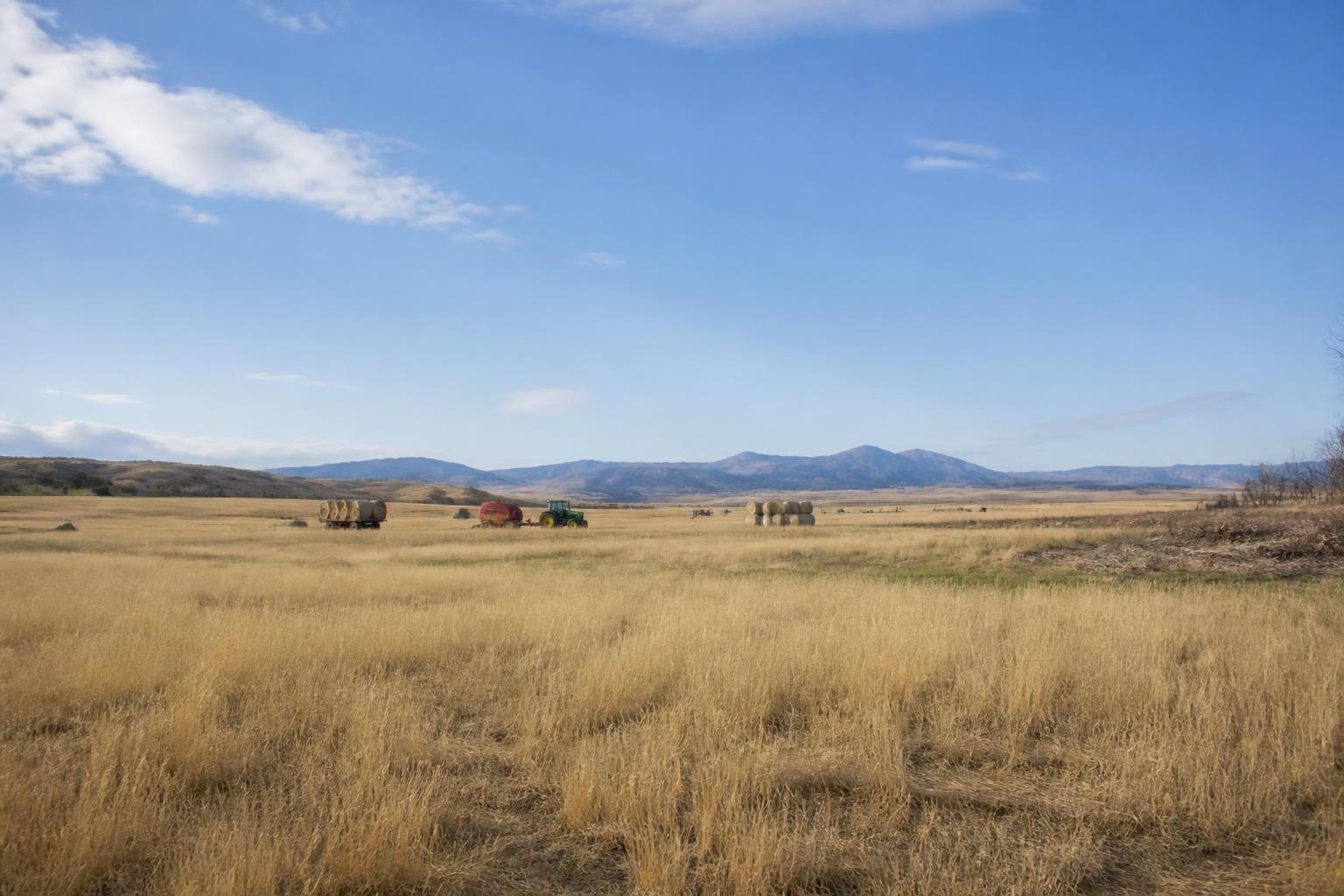 Montana Harvest Outlook: Managing Yield Potential and Logistics in a Shifting Climate - AgroPost