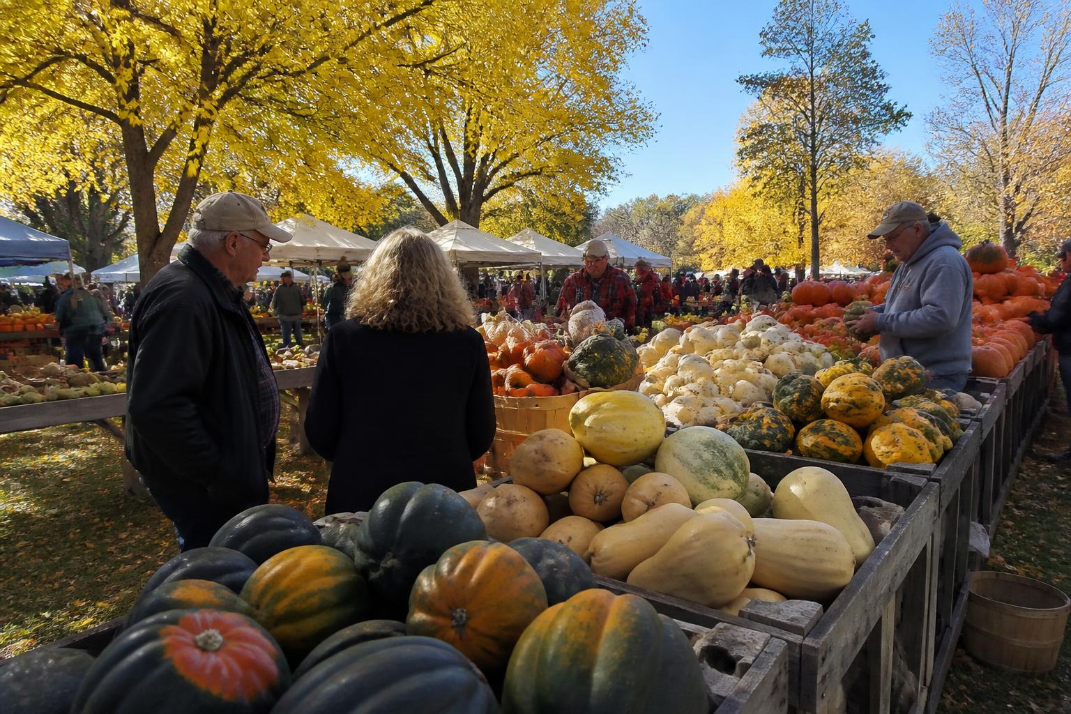 New York Harvest Logistics: Navigating Supply Chain Volatility - AgroPost