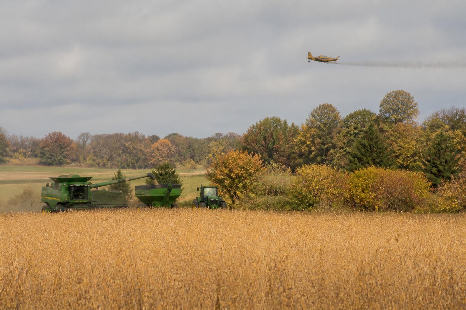 Maryland Soil Management: Planning Ahead for Winter Cover Crops - AgroPost