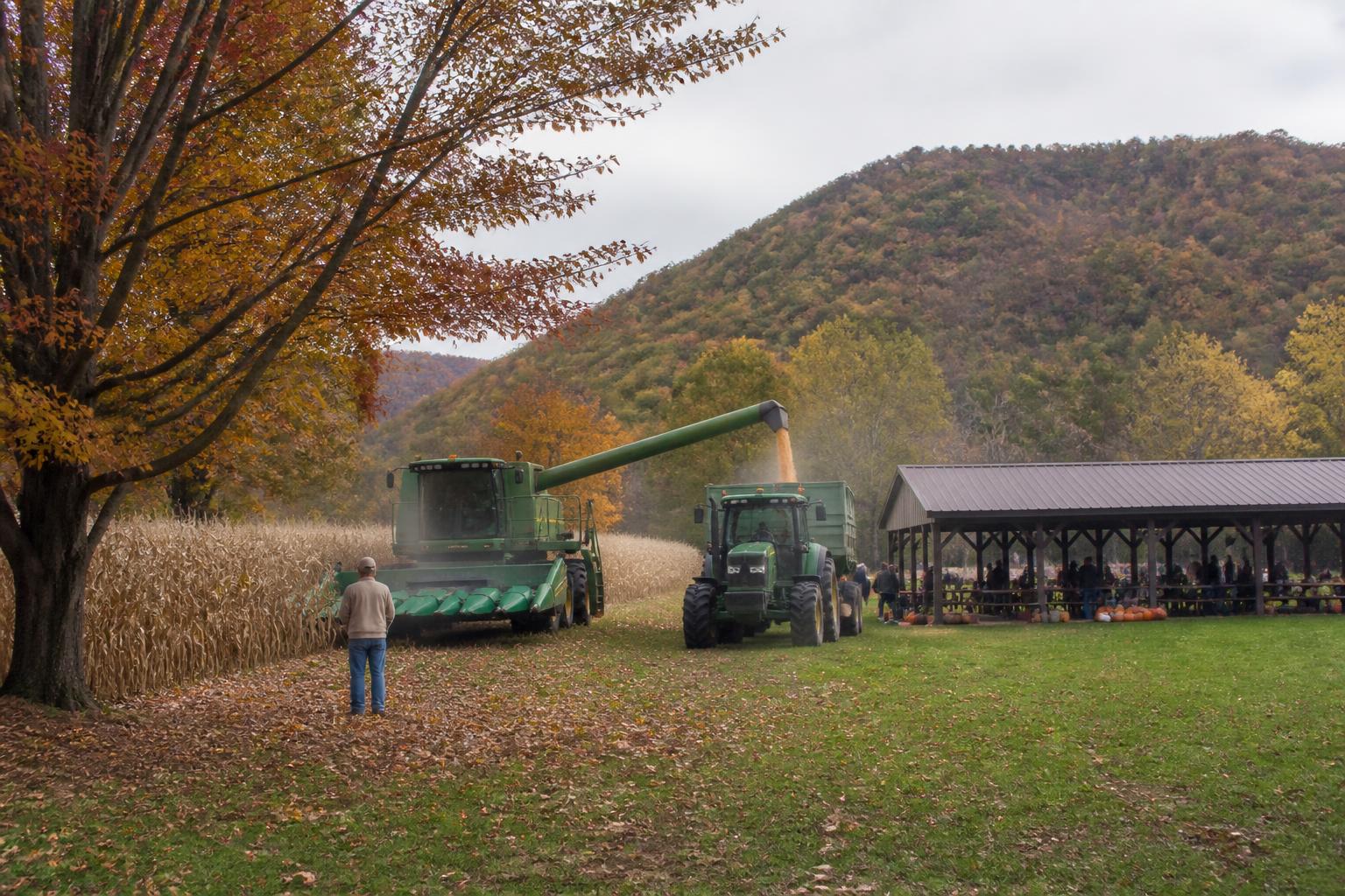 West Virginia Harvest Season: Navigating Logistics and Market Predictability - AgroPost