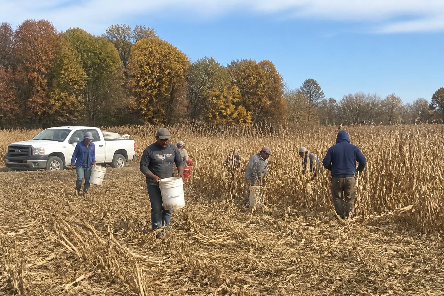 Optimizing Montana Harvest Logistics: Managing Soil and Equipment Performance - AgroPost