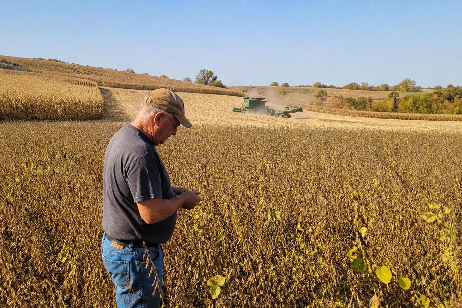 Iowa Harvest Logistics: Managing Efficiency in a Tightening Market
