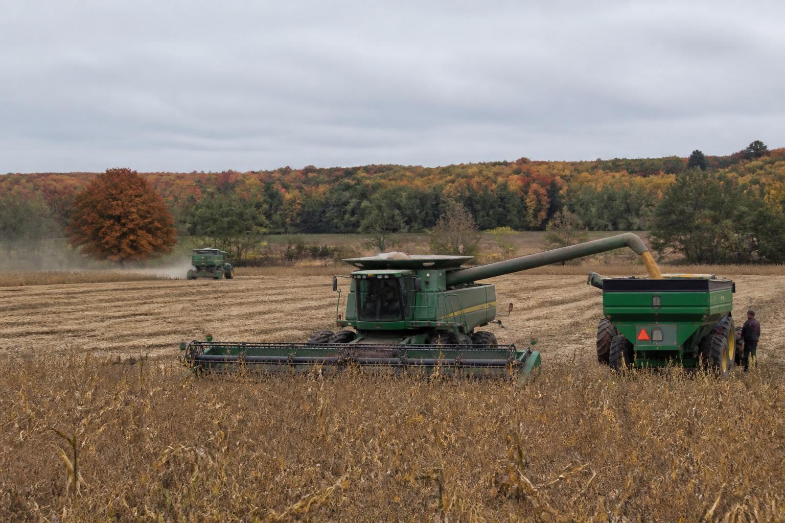 Minnesota Harvest Pressures Mount as Logistics Landscape Shifts - AgroPost