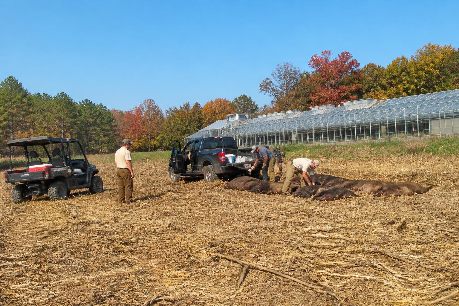Mississippi Harvest Logistics and Agribusiness Outlook: September 2026 - AgroPost