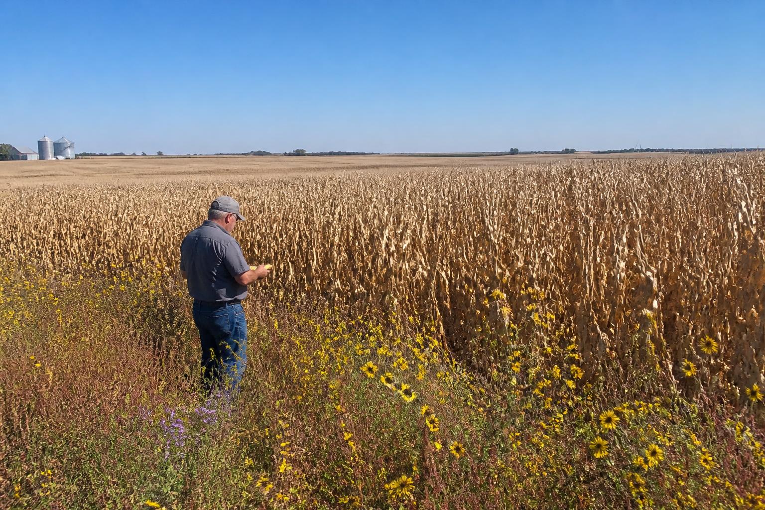 Managing Crop Protection and Operational Risks in Colorado This Harvest Season - AgroPost