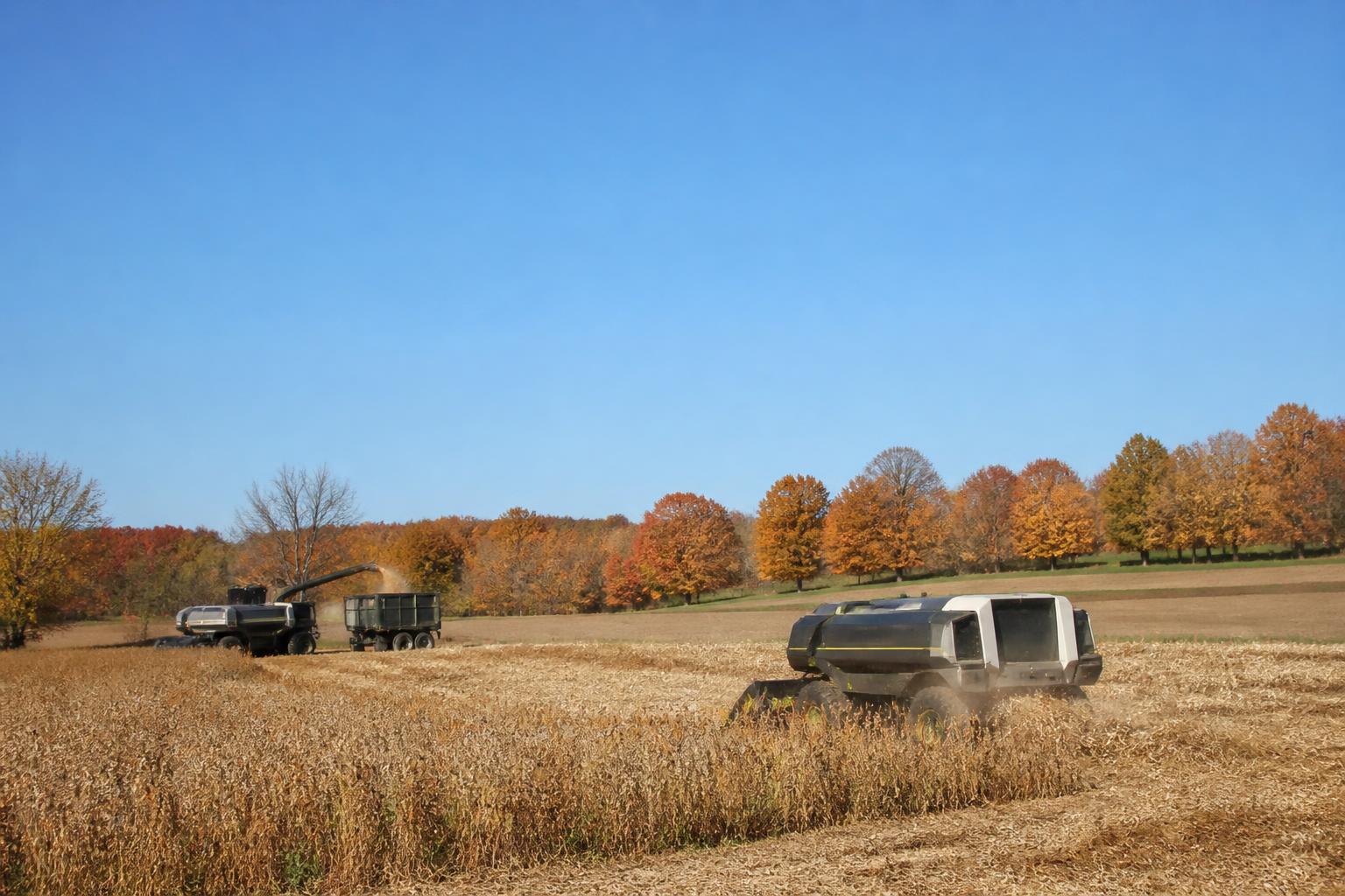 Massachusetts Harvest Season: Navigating Production Shifts and Grain Management - AgroPost