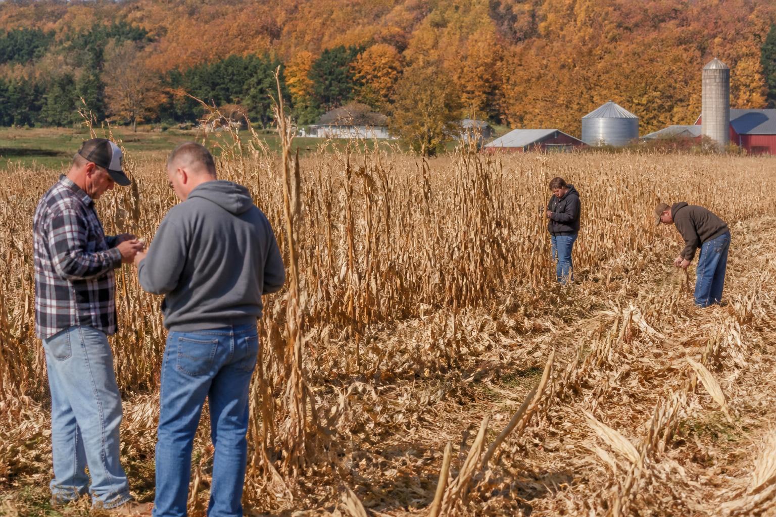 Connecticut Biosecurity: Managing Invasive Pressures During Fall Transitions - AgroPost