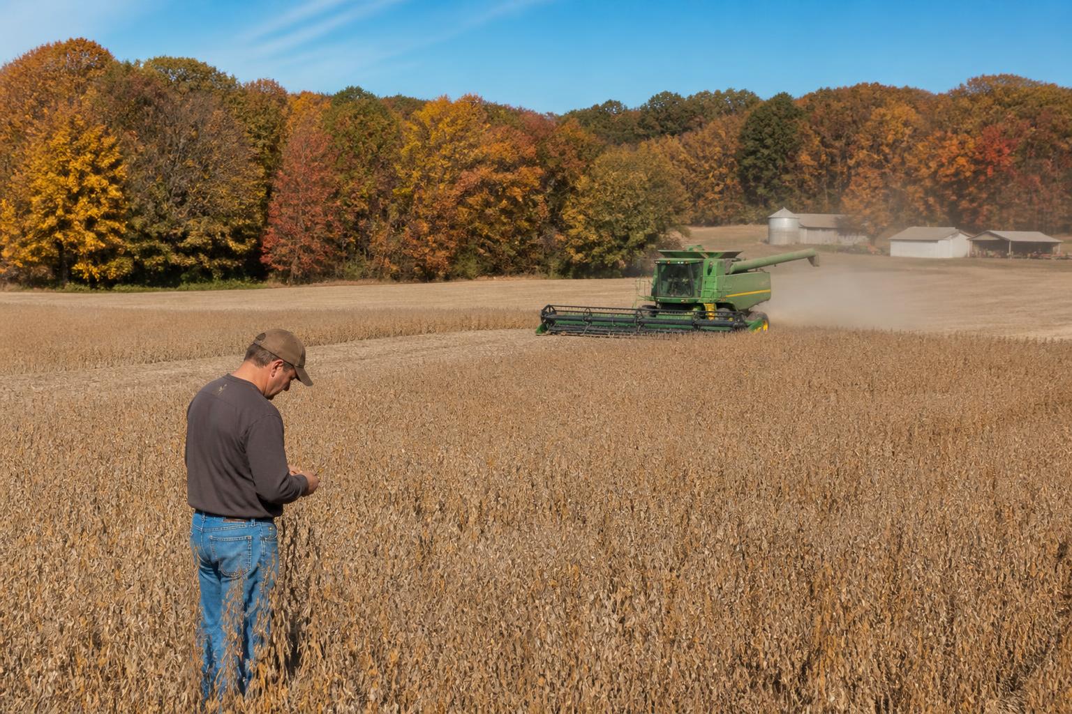 Tennessee Transport Update: Managing Logistics as Fall Harvest Gains Momentum - AgroPost