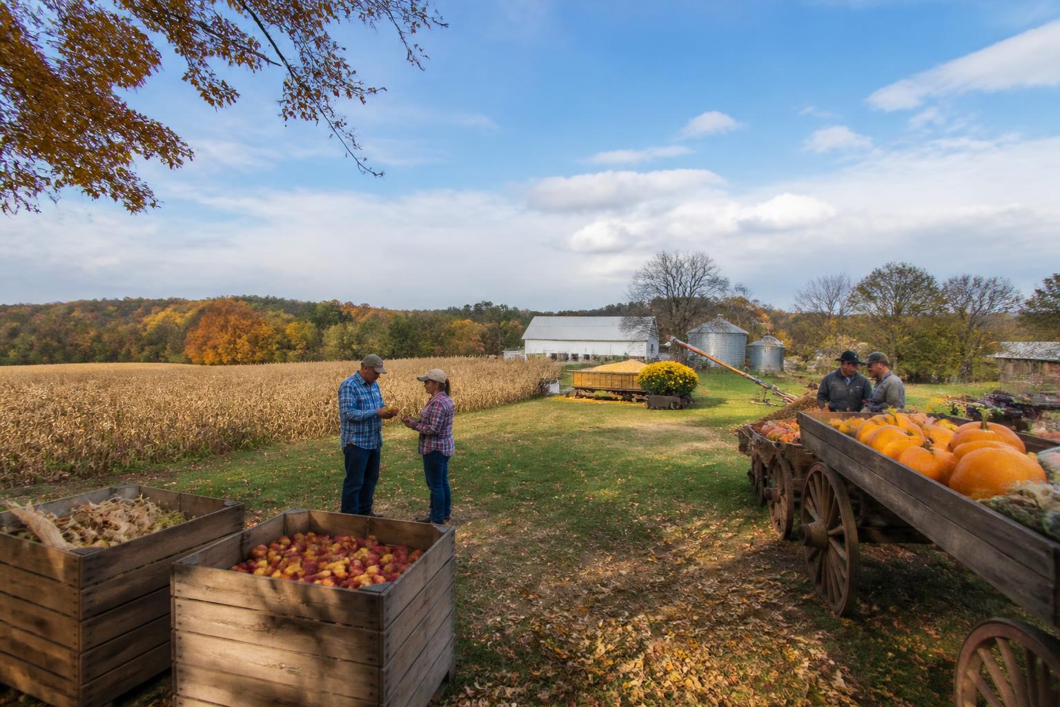 Fall Risk Management for Maine Agricultural Producers - AgroPost
