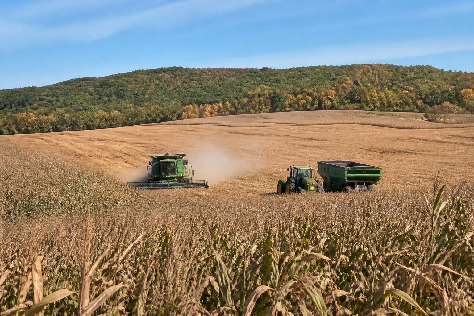 Florida Land Protection Efforts Strengthen Agricultural Stability - AgroPost