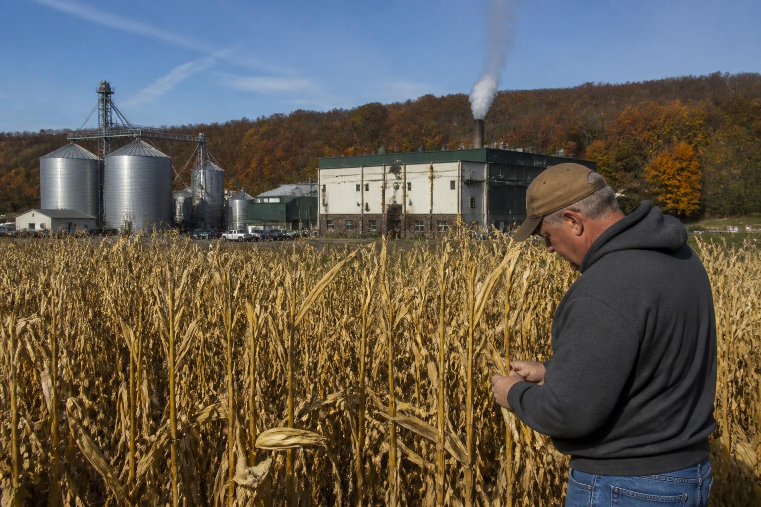 Nebraska Fertilizer Market and Economic Headwinds: A Fall Update - AgroPost