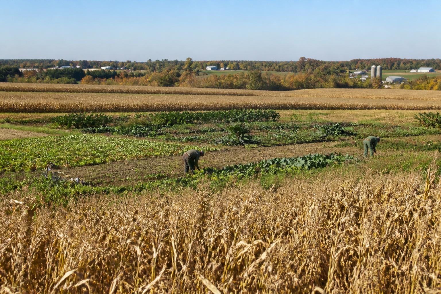 Protecting Alaska's Harvest: Managing Soil and Nutrient Resilience - AgroPost