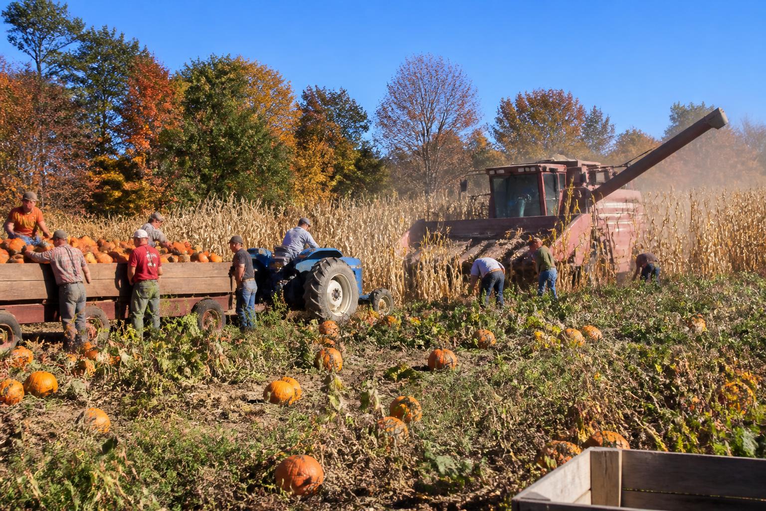 North Carolina Logistics: Preparing for Peak Seasonal Harvest Flow - AgroPost
