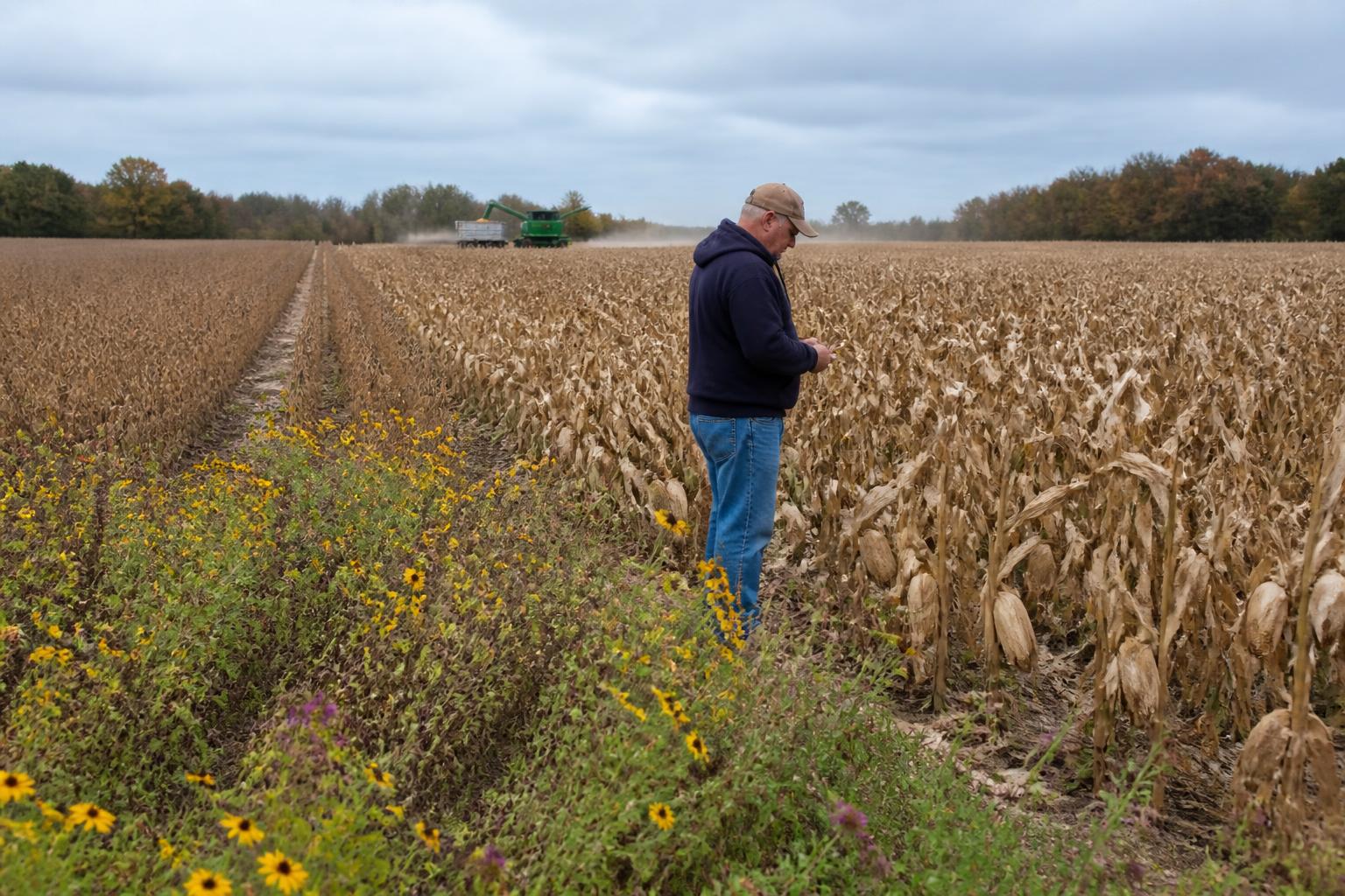 Optimizing Fall Operations: Equipment and Market Strategy in Maryland - AgroPost