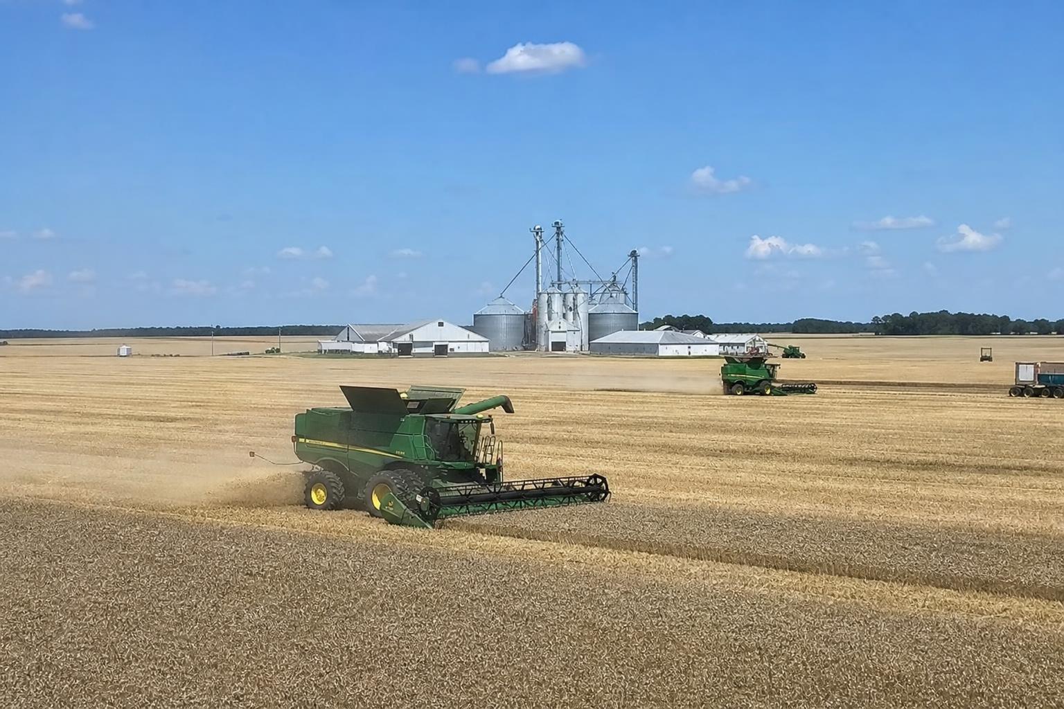 Alabama Wheat Market Update: Navigating Supply and Demand Challenges - AgroPost