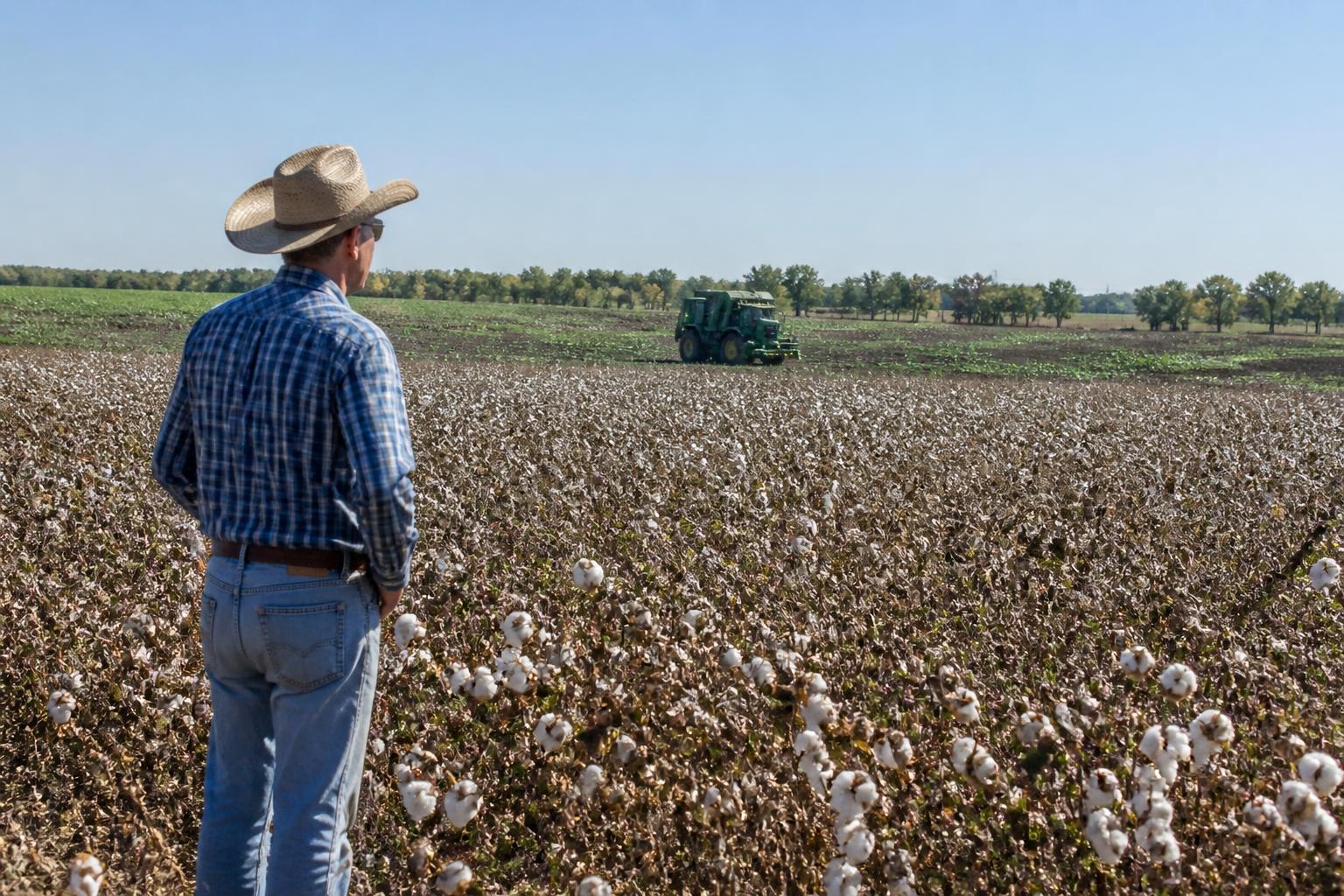Texas Producers Face Evolving Challenges as Fall Field Operations Intensify - AgroPost