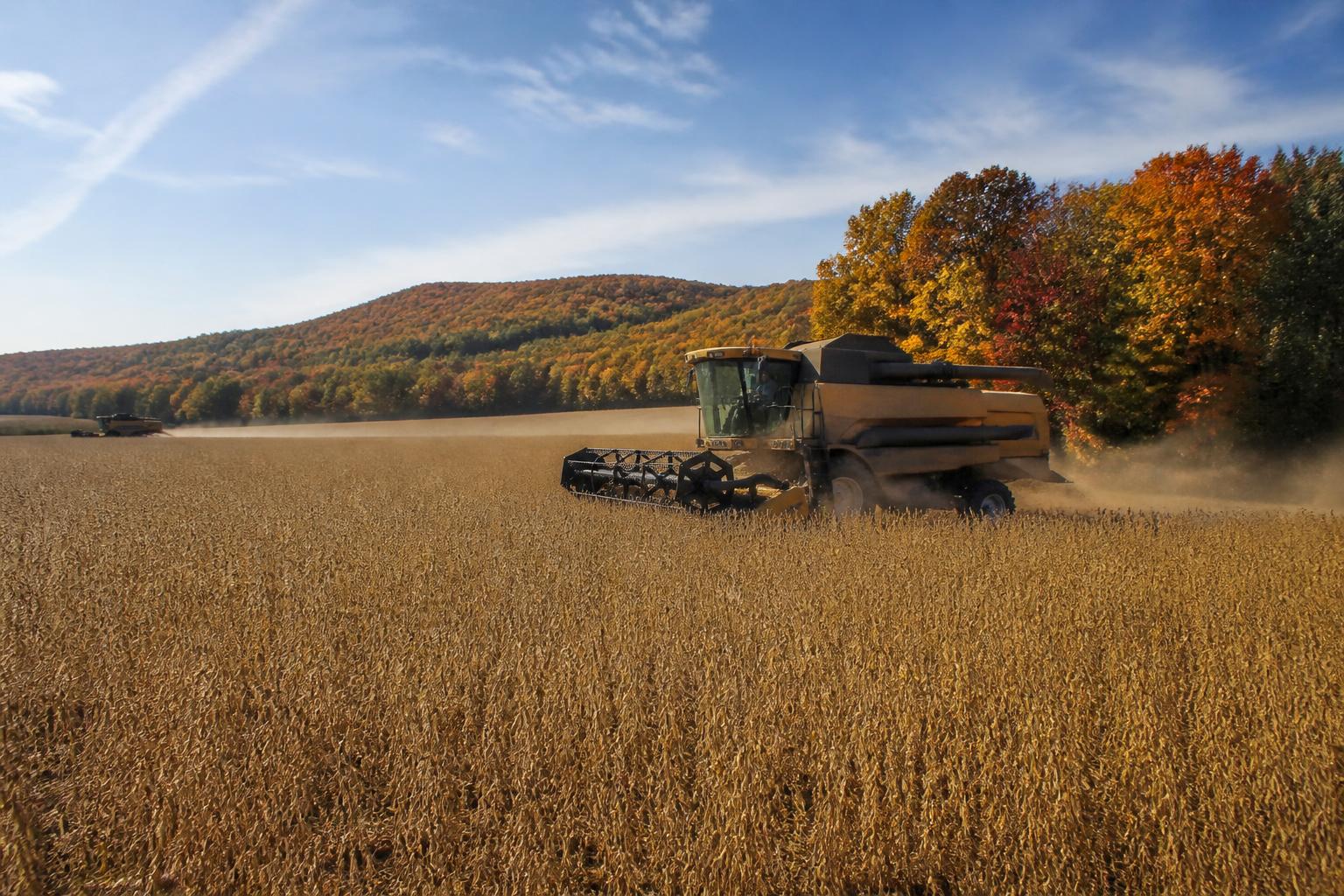 Wyoming Producers Eye Long-Term Resilience as Fall Harvest Approaches - AgroPost