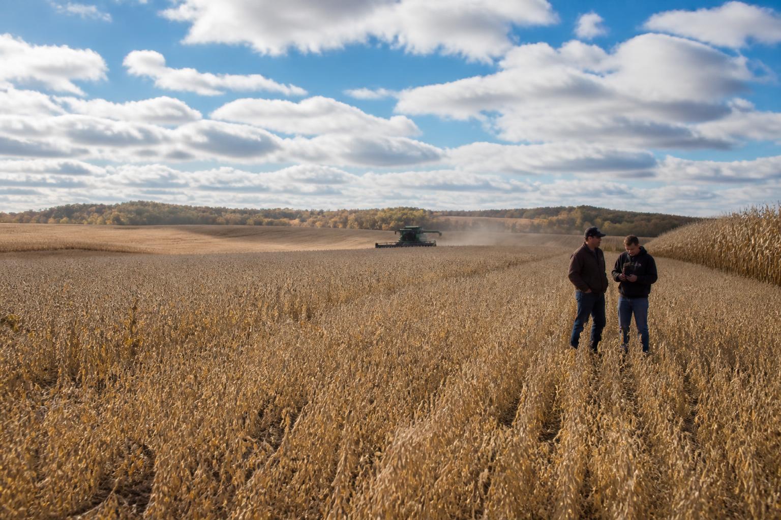 Minnesota Harvest Logistics & Market Update | Fall 2026 | AgroPost