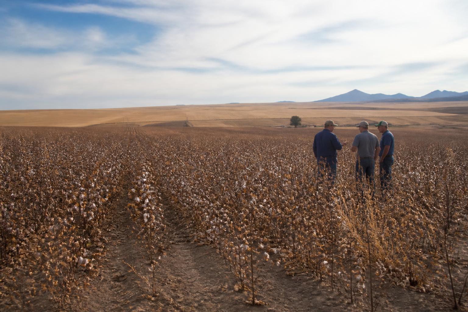 Utah Producers Face Fertilizer Pricing Pressures as Global Market Strains - AgroPost