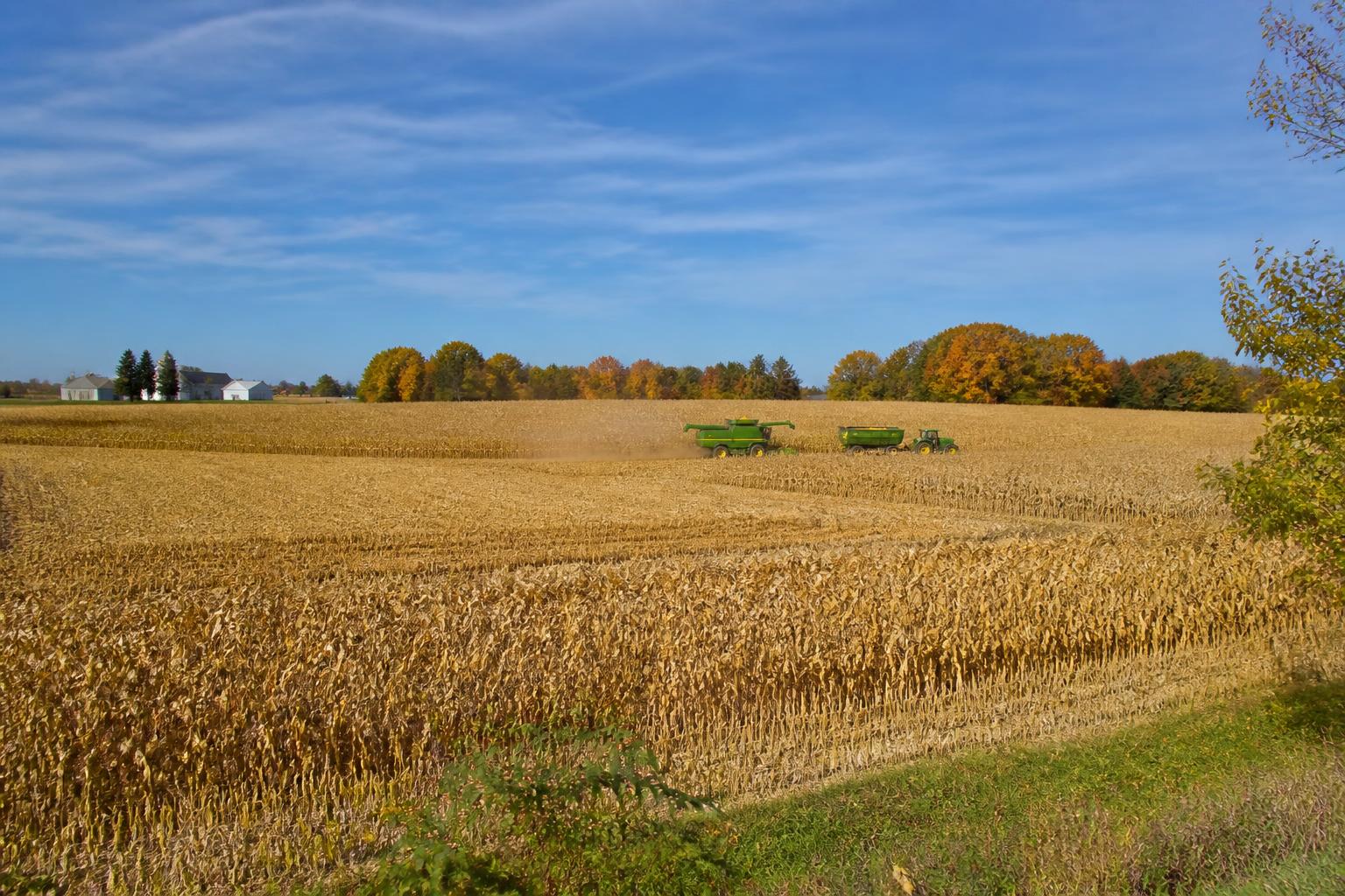 New York Harvest Logistics: Navigating Late-Season Regulatory Hurdles - AgroPost