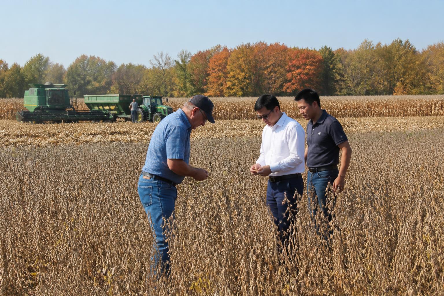 Illinois Input Outlook: Navigating Fertilizer Price Volatility this Fall