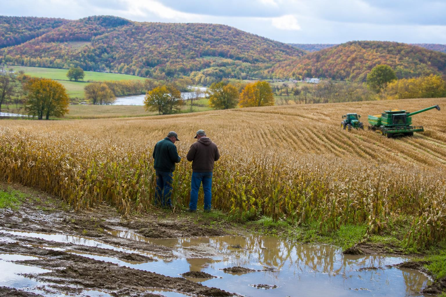 Vermont Agricultural Resilience: Protecting Operations Against Seasonal Volatility - AgroPost