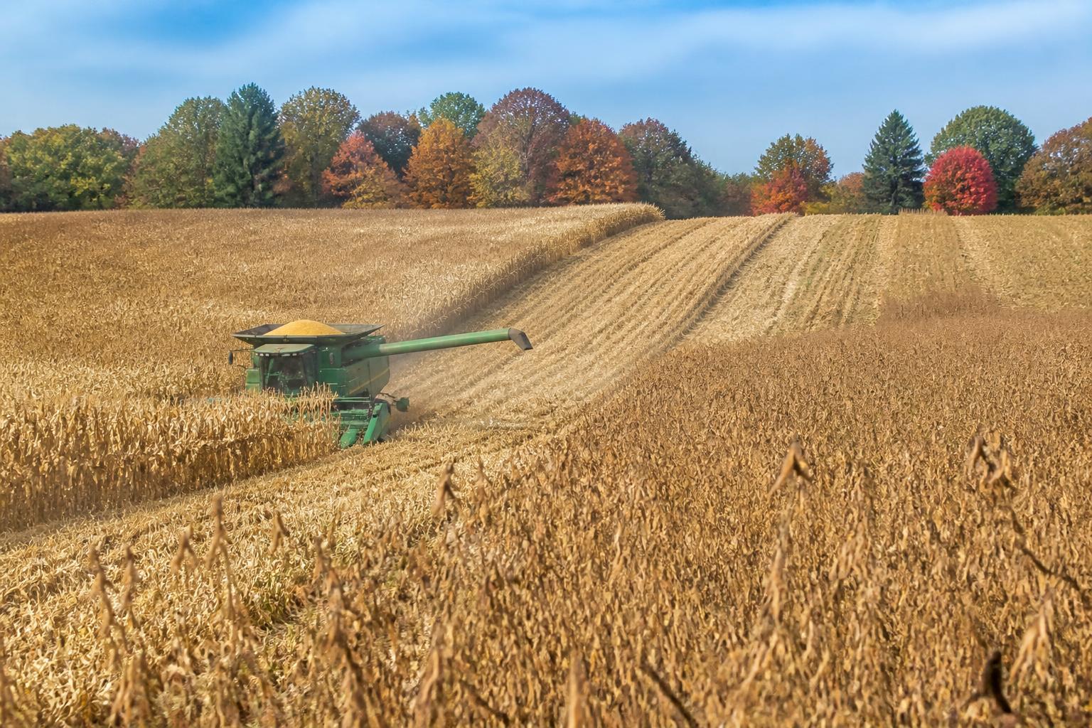 Michigan Crop Health Alert: Managing Late-Season Pathogen Pressures - AgroPost