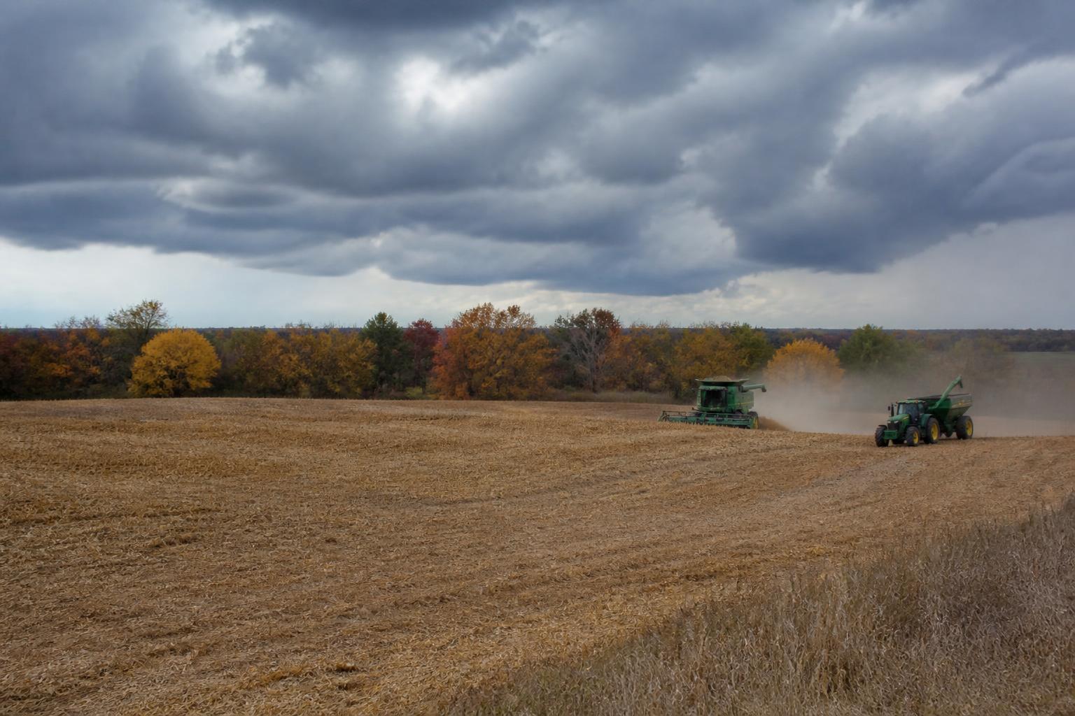 Kansas Market Update: Managing Inventory and Infrastructure Constraints - AgroPost