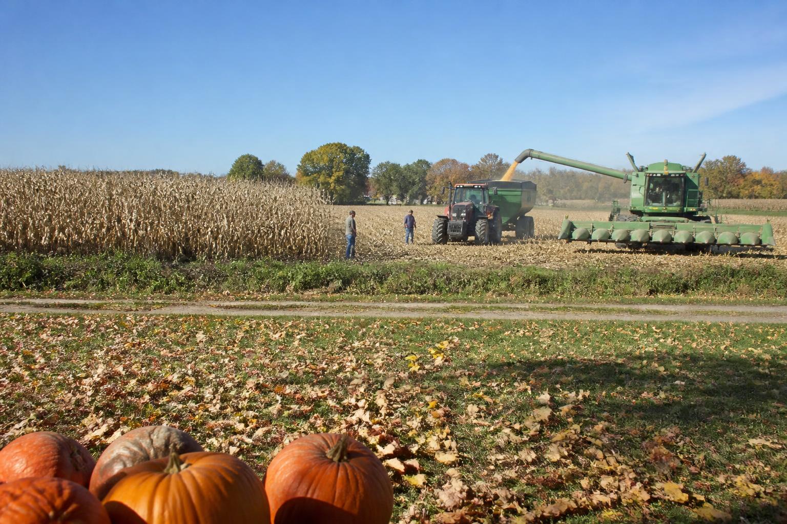 Ohio Fertilizer Market: Navigating Fall Procurement Amid Regional Shifts