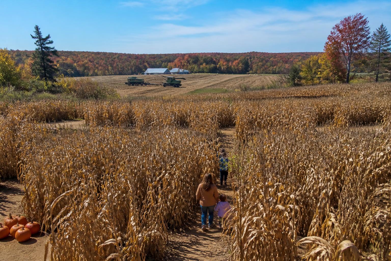 Navigating Late-Season Grain Market Realities in Maine