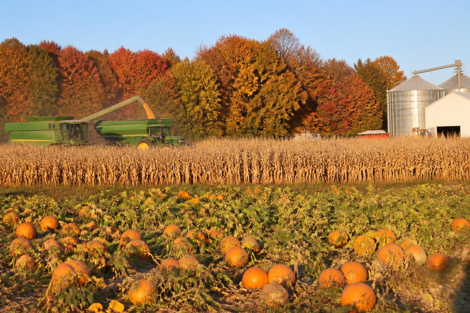 North Carolina Harvest Logistics: Managing Transit Amid Shifting Rural Routes - AgroPost