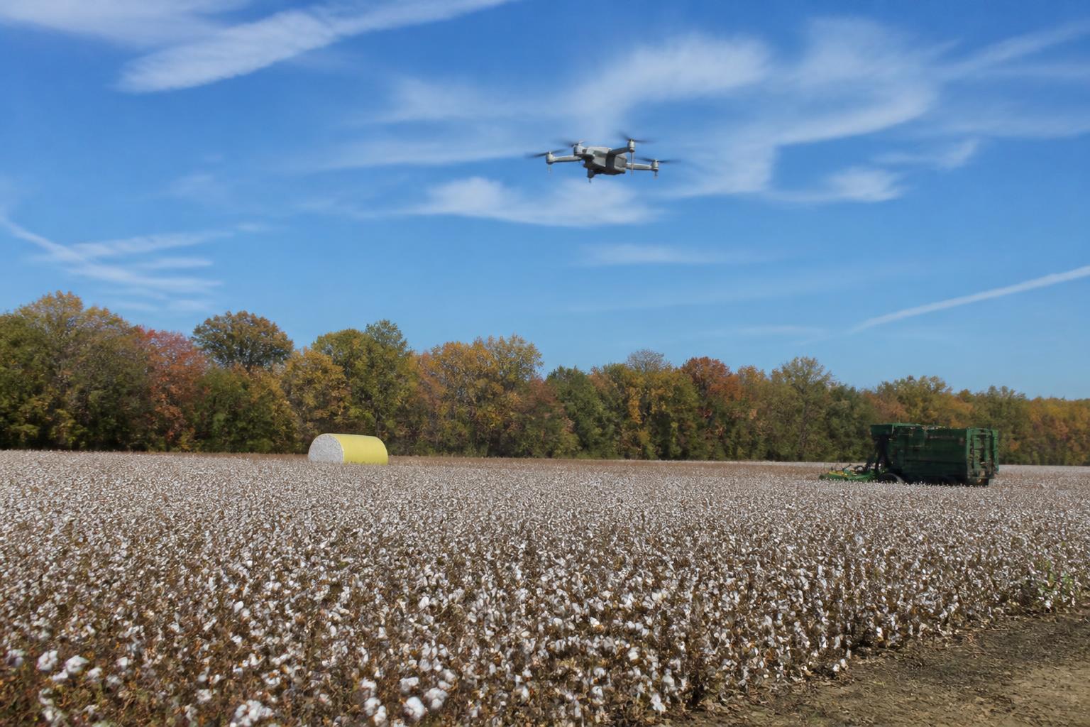 Texas Infrastructure Upgrades Aim to Ease Border Logistics for Fall Commodities - AgroPost