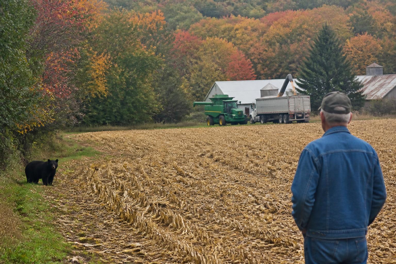 Connecticut Coastal Growth: Navigating Market Trends in Emerging Kelp Production - AgroPost