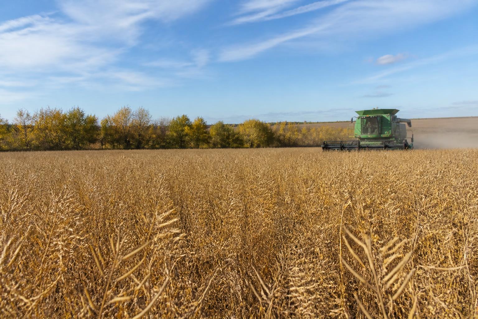 Alabama Logistics: Keeping Your Harvest on Schedule This Fall
