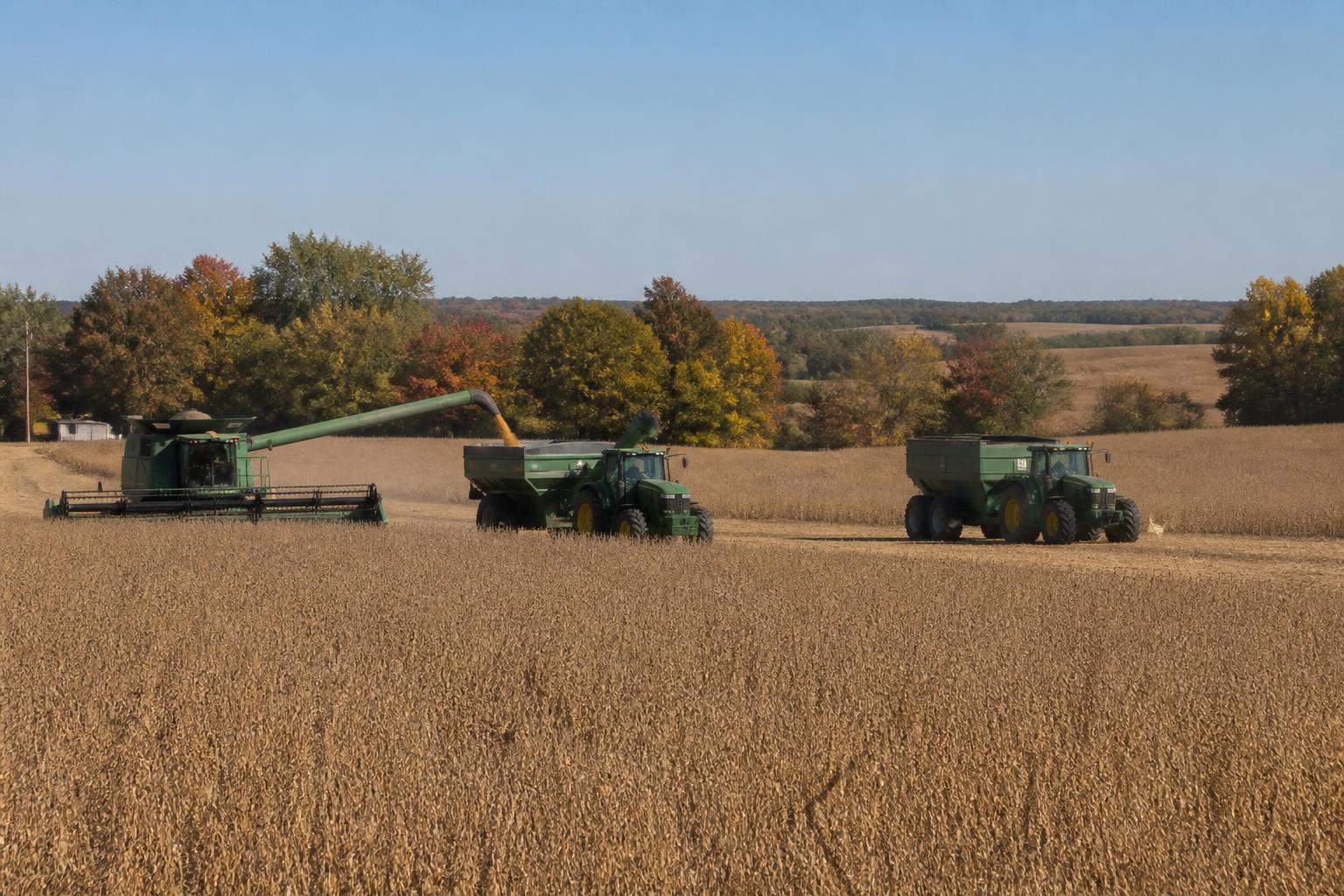Kansas Harvest Outlook: Navigating Volatility and Infrastructure Adjustments - AgroPost