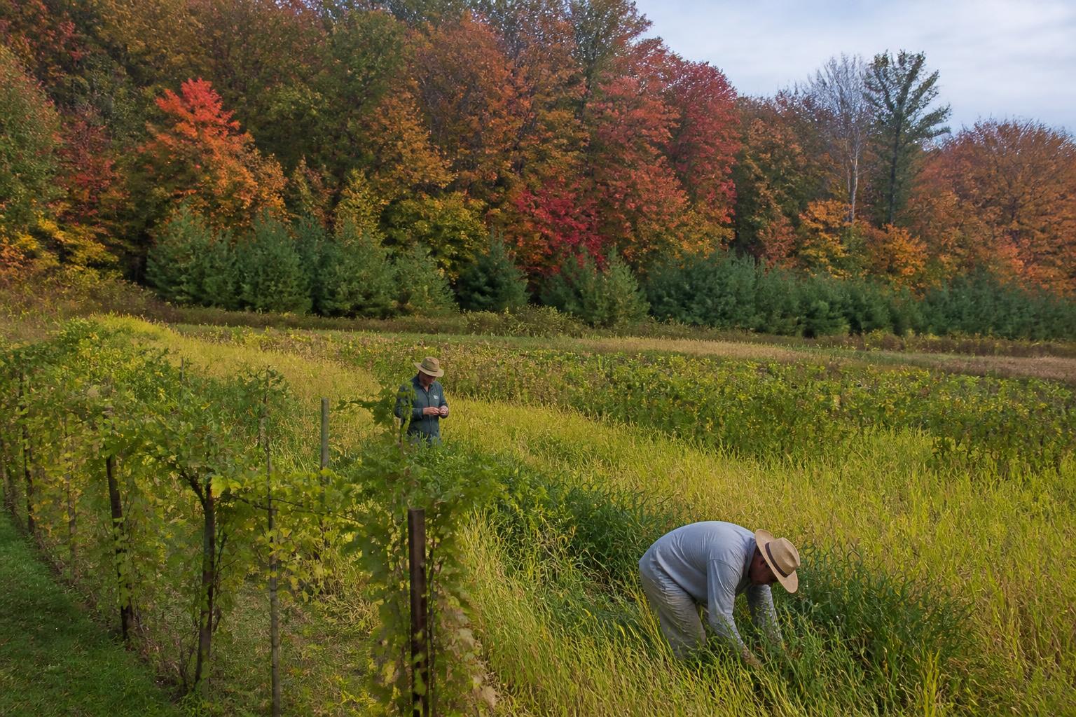 Navegando la Administración de Tierras y las Presiones Regulatorias en Nuevo Hampshire