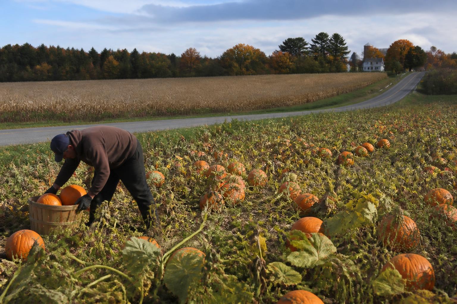 Supporting Sustainable Growth: Navigating Fertilizer Access in Rhode Island