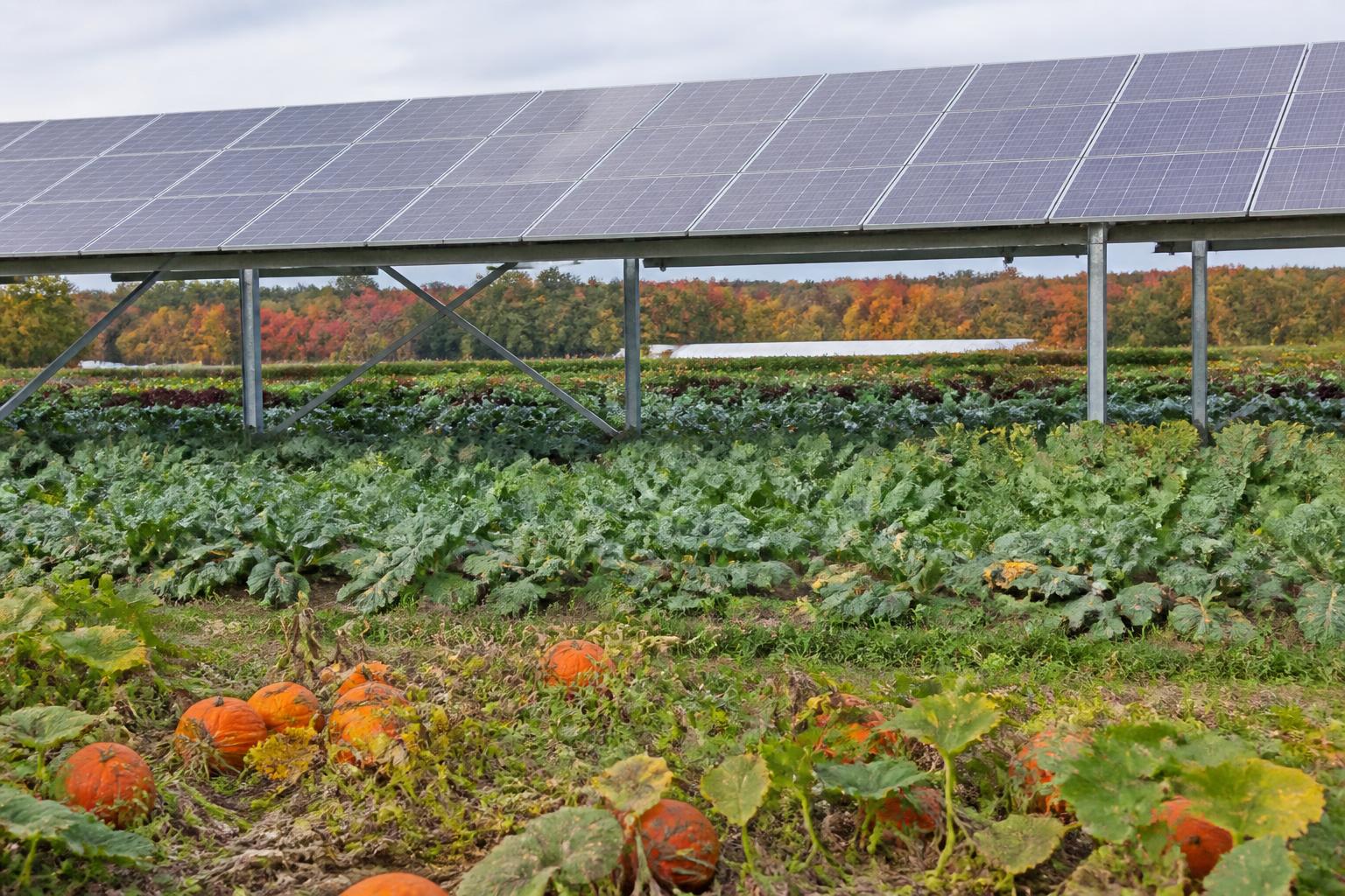 Massachusetts Agriculture: Managing Infrastructure and Resource Pressures this Fall