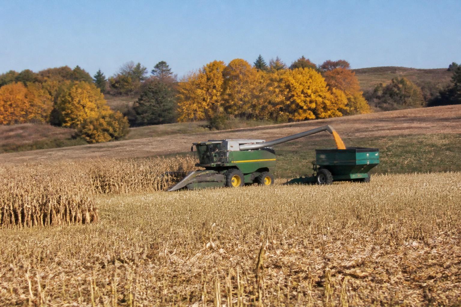South Dakota Crop Outlook: Balancing Harvest Momentum and Storage Security